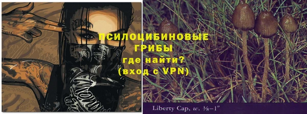 кокс Заводоуковск