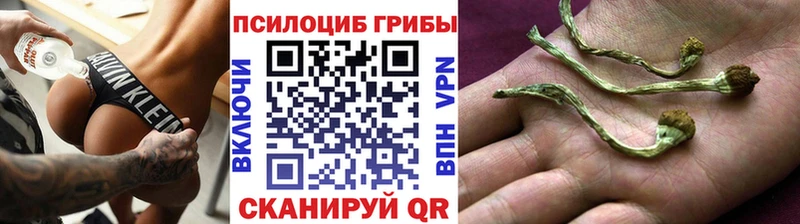 Галлюциногенные грибы GOLDEN TEACHER  кракен вход  Кольчугино 