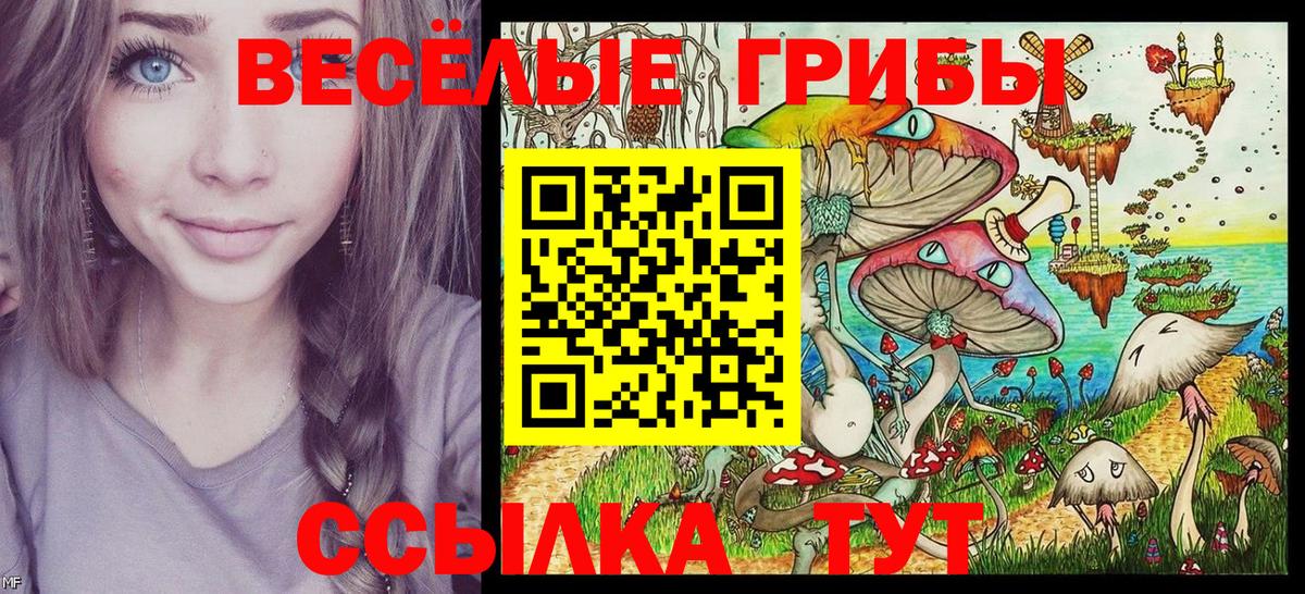 Кольчугино  Псилоцибиновые грибы MAGIC MUSHROOMS  купить наркотики сайты  Вход с VPN 
