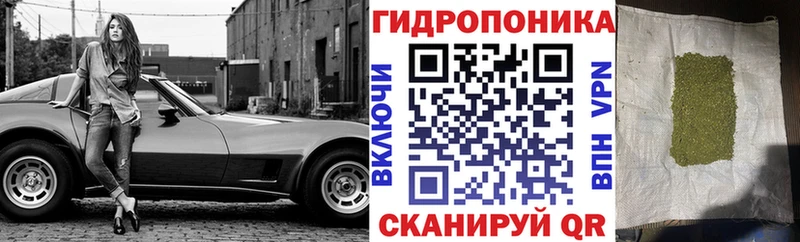 Бошки Шишки планчик  гидра сайт  Кольчугино 
